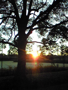 20140101.jpg