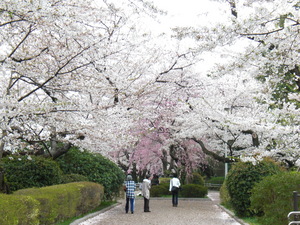 chidorigafuti2012045.JPG
