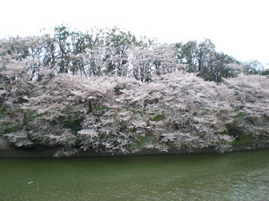 chidorigafuti2012048.JPG