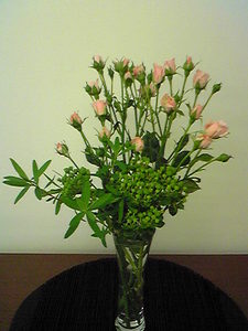 hana20110611.jpg