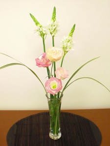 hana20111104.JPG