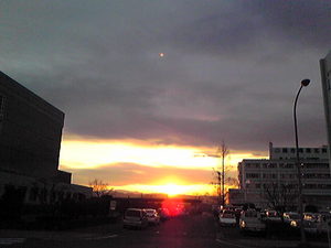 iwanami8.jpg