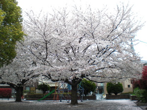 ooi2012041.JPG