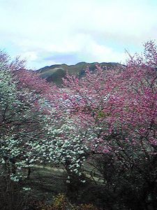 oume201203252.jpg
